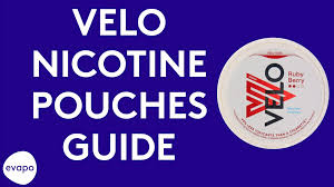 VELO Nicotine Pouches Review